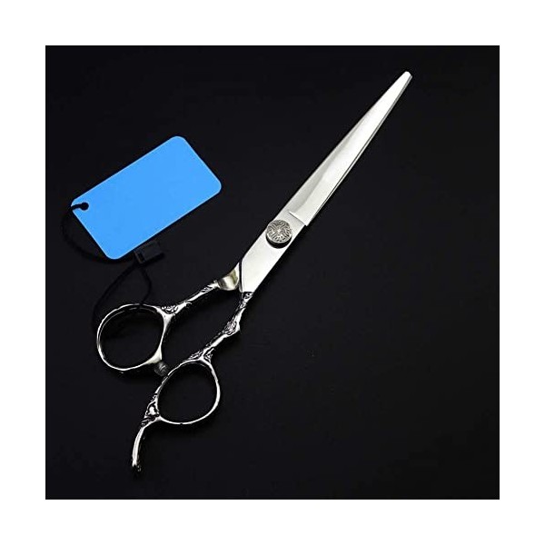 Ciseaux de coiffeur professionnels pour salon de coiffure, ciseaux de coiffure professionnels, ciseaux amincissants, ensemble