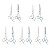 10Pcs Outils Tondeuse Fournitures de Coupe Kit Plat Femmes Barbier Animaux de Compagnie Coupe Amincissement Enfants Utile Bou