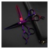 NC Ciseaux de Coiffure Ciseaux de Coiffeur pour gaucher, Ciseaux de Coiffeur Violets de 6 Pouces, Ciseaux, Ciseaux de Coiffeu