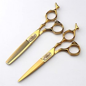 Ciseaux De Ciseaux De Ciseaux De Ciseaux, Ciseaux De Coiffure Professionnels, Ciseaux De 6 Pouces De Salon, Ciseaux À Domicil