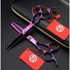 Gaucher 6.0 Pouces Ciseaux de Coupe de Cheveux - Coiffure Dilution Ciseaux Professionnel Barber Salon Toilettage Violet Set 4