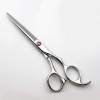 Strumenti per taglio dei capelli, Ciseaux de coiffure de 6 pouces Outils de coiffure professionnels, Set de décoration diaman