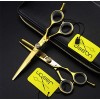 Professionnel Barber Ciseaux rhéofluidifiant Coiffure Set élégant Coupe 5.5/6.0 Pouces Haut de Gamme Salon de Coiffure Ciseau