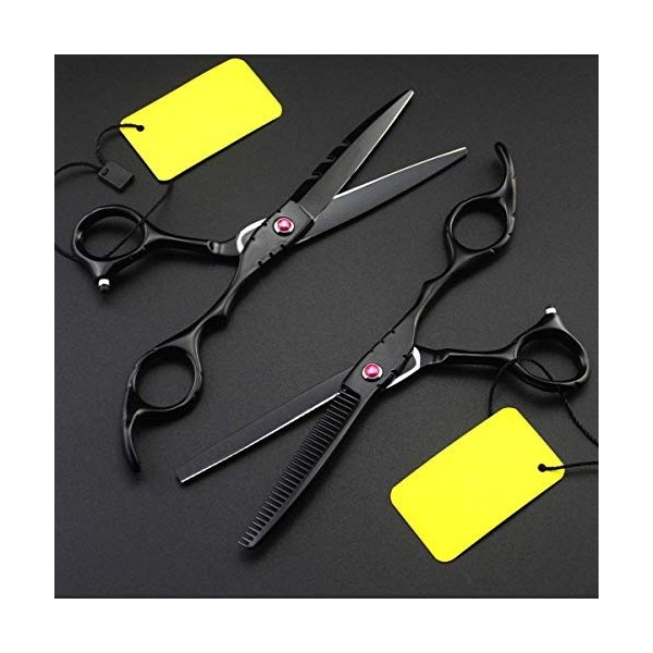 Ciseaux de coiffure professionnels avec étui et peigne, ciseaux à cheveux 5,5 pouces en acier inoxydable, ciseaux de coiffeur