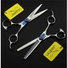 HIJIN 6,0 Pouces Haircut Set Ciseaux De Coupe De Cheveux Professionnel, Ciseaux Kit, Dilution/Texture Coiffure Shear, Peigne,