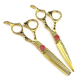 EVANEM Ciseaux de coiffure professionnels Ensembles de ciseaux de coupe de cheveux de barbier en acier inoxydable Salon Cisea