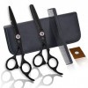 leybold Ciseaux De Coiffure Professionnels Ensemble De Ciseaux De Coiffure De 6 Pouces Set De Coiffure De Rasoir De Rasoir, C