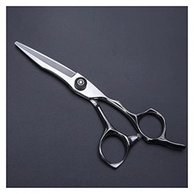 NC Ciseaux de Coiffeur en Argent de 6 Pouces, spéciaux pour Les Salons de Coiffure et Les Salons, Outils de Coiffeur pour Cis