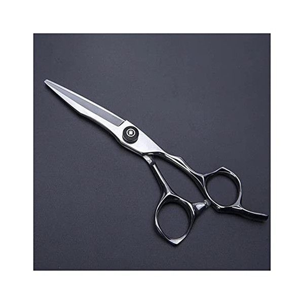 NC Ciseaux de Coiffeur en Argent de 6 Pouces, spéciaux pour Les Salons de Coiffure et Les Salons, Outils de Coiffeur pour Cis