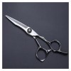 NC Ciseaux de Coiffeur en Argent de 6 Pouces, spéciaux pour Les Salons de Coiffure et Les Salons, Outils de Coiffeur pour Cis