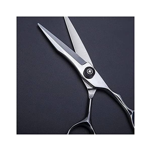 NC Ciseaux de Coiffeur en Argent de 6 Pouces, spéciaux pour Les Salons de Coiffure et Les Salons, Outils de Coiffeur pour Cis