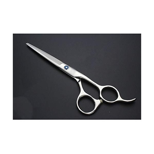 Outils de coupe des cheveux 6,5 pouces Salon de coiffure Coupe de cheveux professionnel Cisaillement à plat Poignée droite Po