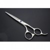 Outils de coupe des cheveux 6,5 pouces Salon de coiffure Coupe de cheveux professionnel Cisaillement à plat Poignée droite Po