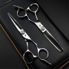 KOAIEZ Outils De Réglage des Ciseaux De Coupe De Cheveux en Argent De 6,0 Pouces, des Ciseaux De Coiffure De Coiffure Salon D