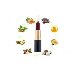 BlushBee Lip Nourishing Organic Vegan Lipstick, Wine Waltz - 4.2 Gms.