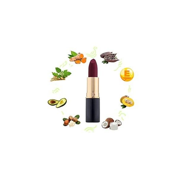 BlushBee Lip Nourishing Organic Vegan Lipstick, Wine Waltz - 4.2 Gms.