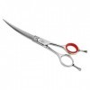 Ciseaux de coiffure Scissors/Shears Curved 6.5 inch - Ciseaux à cheveux japonais 440C en acier - Outil de coupe de cheveux de