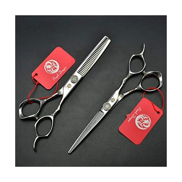 Professionnel Barber Haut de Gamme Argent 6,0 Pouces Ciseaux de Coupe de Cheveux Dilution Ciseaux 9CR Acier 4Pc Ensemble Coif