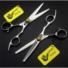 Argent Brillant coiffure professionnelle Ciseaux Haut de gamme 6 pouces Boutique Set haut de gamme 440C Styliste Barber Sciss