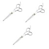 FRCOLOR 3 Pcs Professionnel Cisailles Rasoir Professionnel Cheveux Ciseaux Dents Cisailles Dent Ciseaux Coiffeur Ciseaux Salo