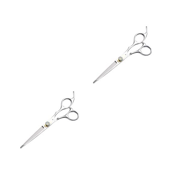 FRCOLOR 3 Pcs Professionnel Cisailles Rasoir Professionnel Cheveux Ciseaux Dents Cisailles Dent Ciseaux Coiffeur Ciseaux Salo