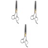 FRCOLOR 3 Pcs Professionnel Cisailles Rasoir Professionnel Cheveux Ciseaux Dents Cisailles Dent Ciseaux Coiffeur Ciseaux Salo