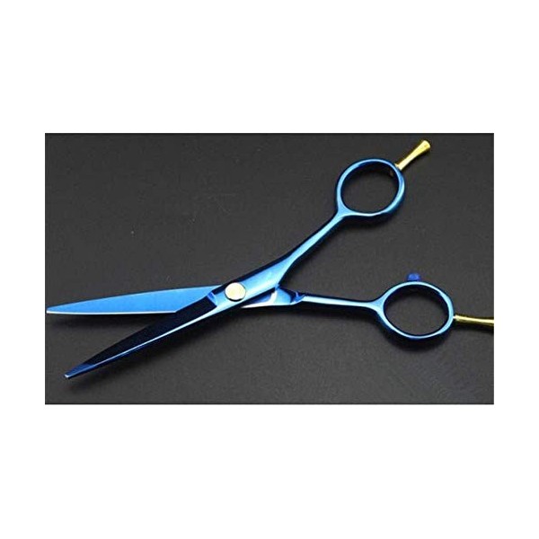 Jeu de coiffure Professional 5.5 pouces à deux queues ciseaux CISEAUX amincissement bleu ciseaux de coupe de cheveux de coiff