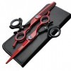 6 pouces Ciseaux de coiffure Coiffure outils Japon 440 C Ciseaux de cheveux professionnel en acier