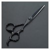 Ciseaux pour coupe de cheveux Ciseaux de barbier noirs de 5,5/6 pouces, ciseaux de coiffure, ciseaux de beauté, salon de coif