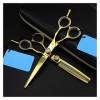 OUYOXI 6 pouces Golden Hairdressing Scissors, Sceaux d’amincissage, Ciseaux de barbier, Ciseaux plats, Ciseaux de coiffure C