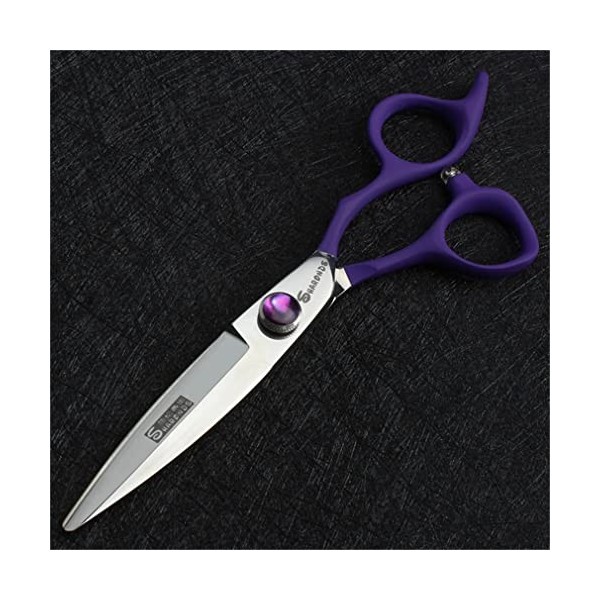 KOAIEZ Ciseaux De Coupe De Cheveux Professionnels De 6,0 Pouces Couleur , Cisaillements De Coiffure Multifonctionnels 440C e