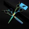 Professionnel Coupe de Cheveux Ciseaux Vert Set 6.0" Ciseaux de Coiffure Ciseaux Dilution Haut de Gamme en Acier Inoxydable S