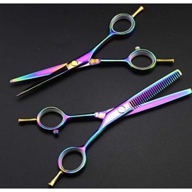 Ciseaux de coupe de cheveux, ciseaux professionnels à deux queues de 5,5 pouces, ciseaux amincissants arc-en-ciel, ensemble d