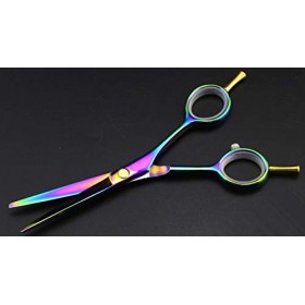 Ciseaux de coupe de cheveux, ciseaux professionnels à deux queues de 5,5 pouces, ciseaux amincissants arc-en-ciel, ensemble d