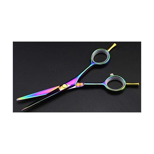 Ciseaux de coupe de cheveux, ciseaux professionnels à deux queues de 5,5 pouces, ciseaux amincissants arc-en-ciel, ensemble d