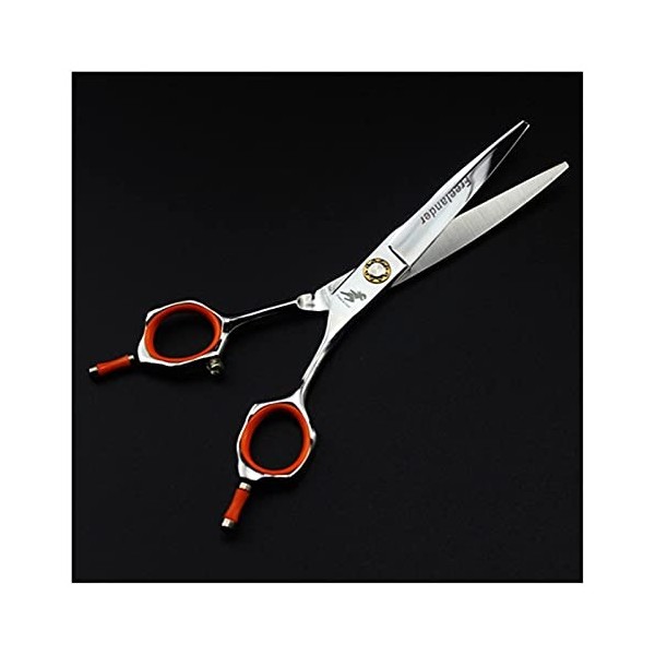 Ciseaux de coupe de cheveux Ciseaux de coupe de cheveux professionnels Ciseaux de coiffure Ciseaux de coupe de cheveux Outils