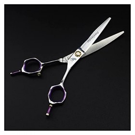 Ciseaux de coupe de cheveux Ciseaux de coupe de cheveux professionnels Ciseaux de coiffure Ciseaux de coupe de cheveux Outils