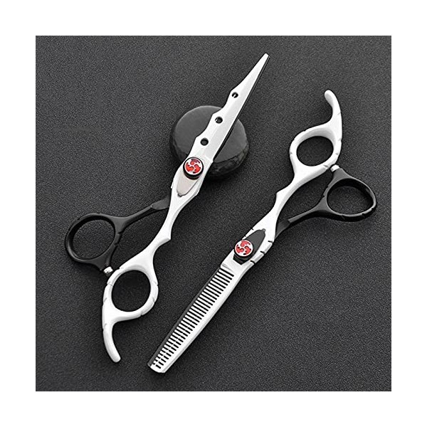 WYGC Scissors Ciseaux De Coupe De Cheveux,Ciseaux De Coiffure Professionnel Convient Aux Hommes Et Aux Femmes-6.0 Pouces Col