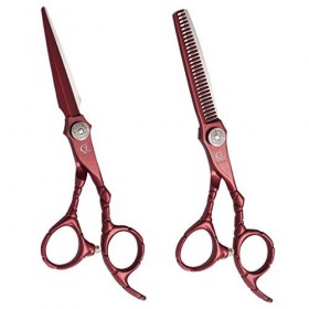 LUCHONG Salon De Coiffure Ciseaux Cheveux Outil 6.0 Professional avec Méticuleux Workmanship Netteté Silencer Réduction du Br