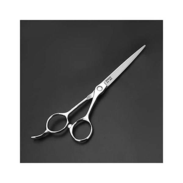 Ciseaux pour coupe de cheveux, ensemble de 4 pièces de ciseaux de Salon violets de 7 pouces et ciseaux de coiffure profession