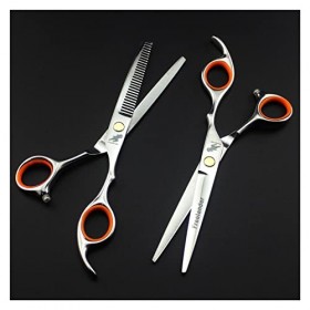 DOENBOLO Ciseaux à Cheveux Ciseaux de Coiffure en Argent de 6,0 Pouces Ciseaux de Coiffure Pointu tijeras de peluqueria Profe