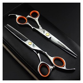 DOENBOLO Ciseaux à Cheveux Ciseaux de Coiffure en Argent de 6,0 Pouces Ciseaux de Coiffure Pointu tijeras de peluqueria Profe