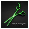 Xiaozhoukeji Ciseaux de Cheveux Professionnels Couper de Coiffure Vert 5,5 Pouces Coiffeurs Scisor Scisors Scisers Ciseaux Ci