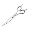 Xiaozhoukeji Ciseaux Courbes pour barbier, cisailles Courbes en Acier Japonais de 6" UnitCount : Scissors -1pcs 