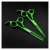 Cisailles de coupe des cheveux Ciseaux de cheveux professionnels Couper de coiffure Vert 5,5 pouces Coiffeurs Scisor Scisors 