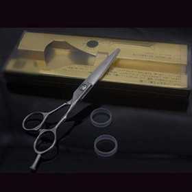 GaoF Ciseaux de Coiffure Professionnels de 6 Pouces pour coiffeurs, Ciseaux Plats antidérapants de Haute qualité, résistants 