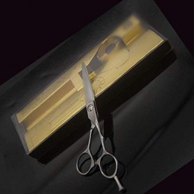 GaoF Ciseaux de Coiffure Professionnels de 6 Pouces pour coiffeurs, Ciseaux Plats antidérapants de Haute qualité, résistants 