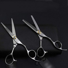 GaoF Ciseaux de Coiffure 6 Pouces Outil Ciseaux Plats + Ensemble de Ciseaux à Dents, résistant à la Corrosion Argent 