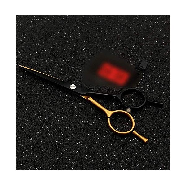 GaoF Ciseaux de Coupe de Cheveux personnalisés de 5,5 Pouces, Cisaillement Plat + Ciseaux à Dents A Word Scissor Set, résista