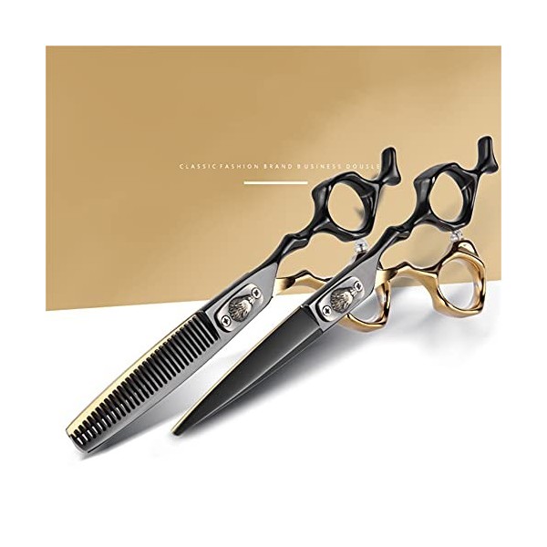 XJPB Cisailles de Coupe des Cheveux Coup de Coiffure Professionnelle Salon de Salon cisailles Kit Kit en Acier Inoxydable Cis